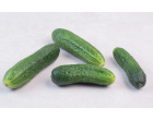 thumb_image_0