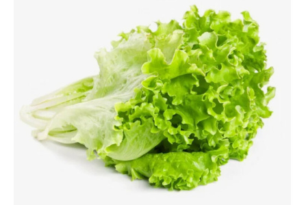 Листья салата