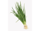 thumb_image_0