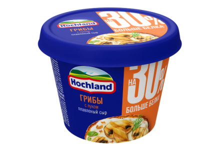 Сыр плавленый HOCHLAND 230гр Грибы/лук 1/8шт