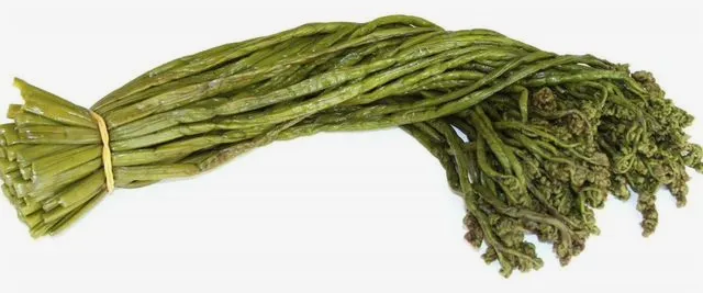 Папоротник соленый Зеленая Кладовая 1/11кг