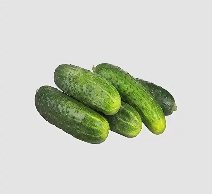 Огурцы грунтовые Казахстан