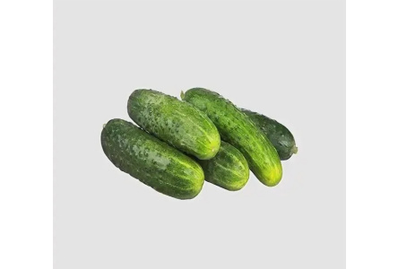 Огурцы грунтовые Казахстан