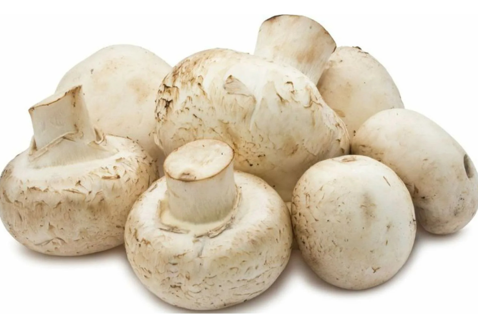 product_image_0