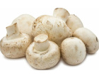 thumb_image_0