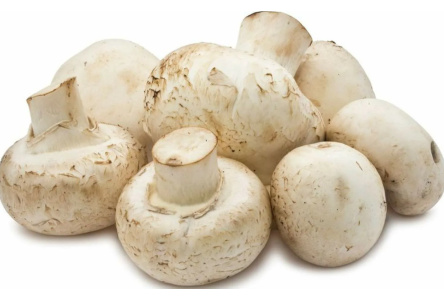 Грибы Шампиньоны