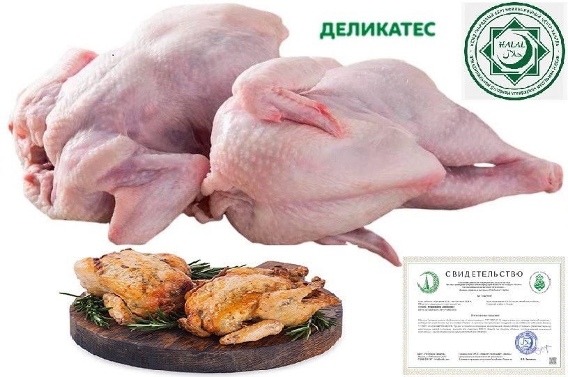 Цыплята РАВИС Корнишон ХАЛЯЛЬ вес