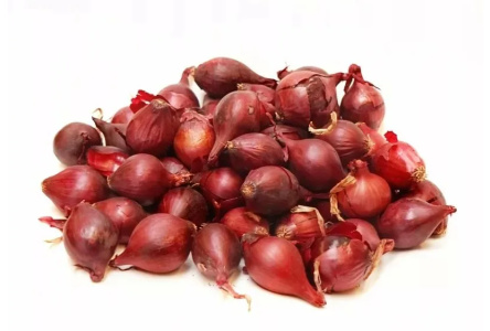 Лук севок красный