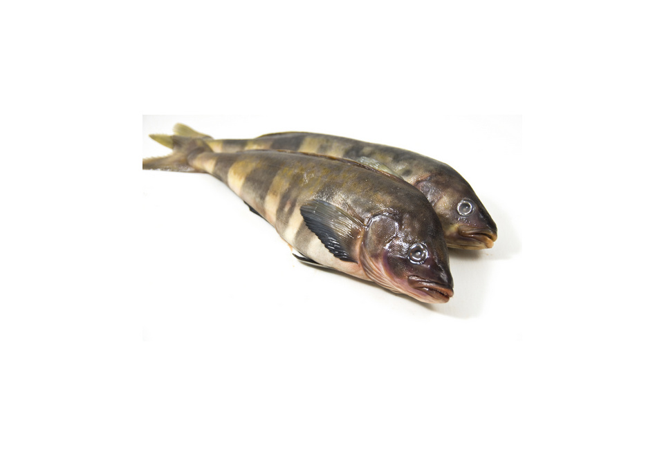 product_image_0